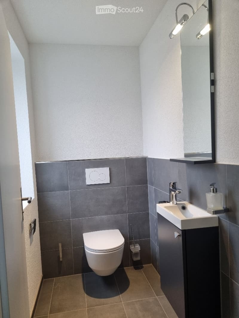 Modern bathroom with grey tiles, white toilet, white sink, large mirror, and sleek lighting fixture.