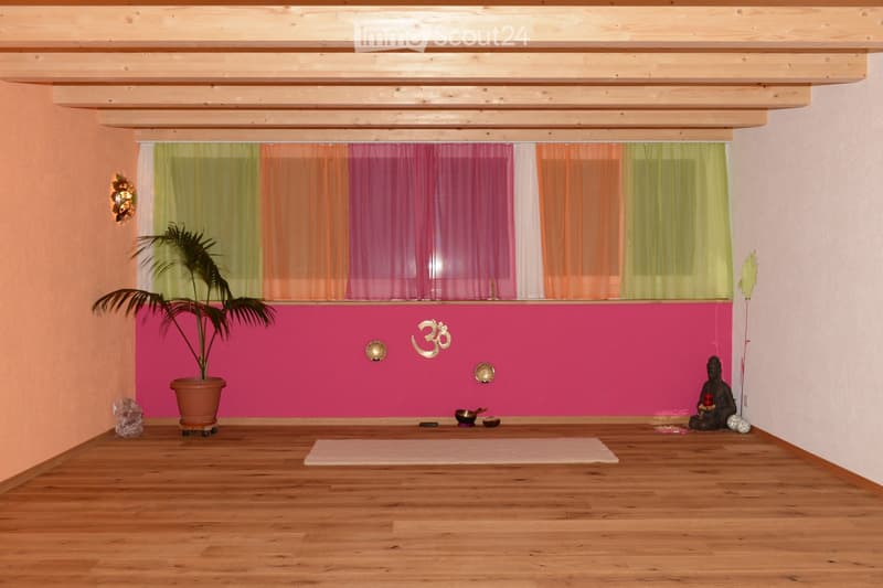 Minimalist room with wooden floor, pink accent wall, colorful sheer curtains, potted plant, yoga mat, small statue, and decorative items.