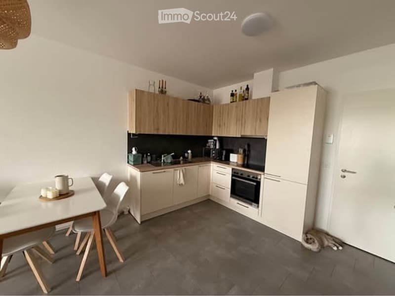 Modern kitchen with light wood cabinets, stainless steel appliances, and a small dining area with a table and chairs. A cat is resting on the floor near the door.