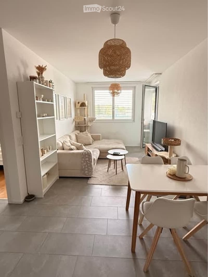 Bright living room with a white sofa, coffee table, dining table, chairs, bookshelf, cat tree, and a television. The room features a modern aesthetic with a woven pendant light and large windows.