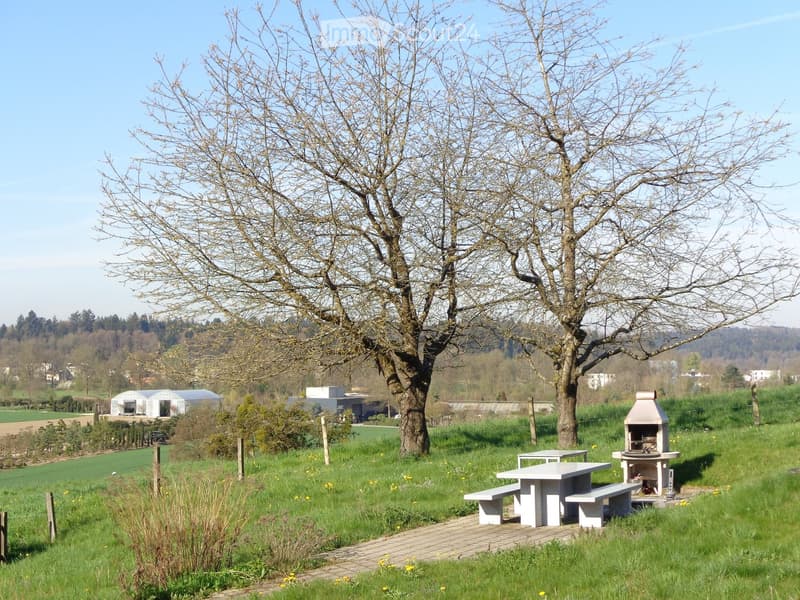 Outdoor garden area with a large tree, picnic table, benches, and a barbecue, surrounded by green grass and a rural landscape.