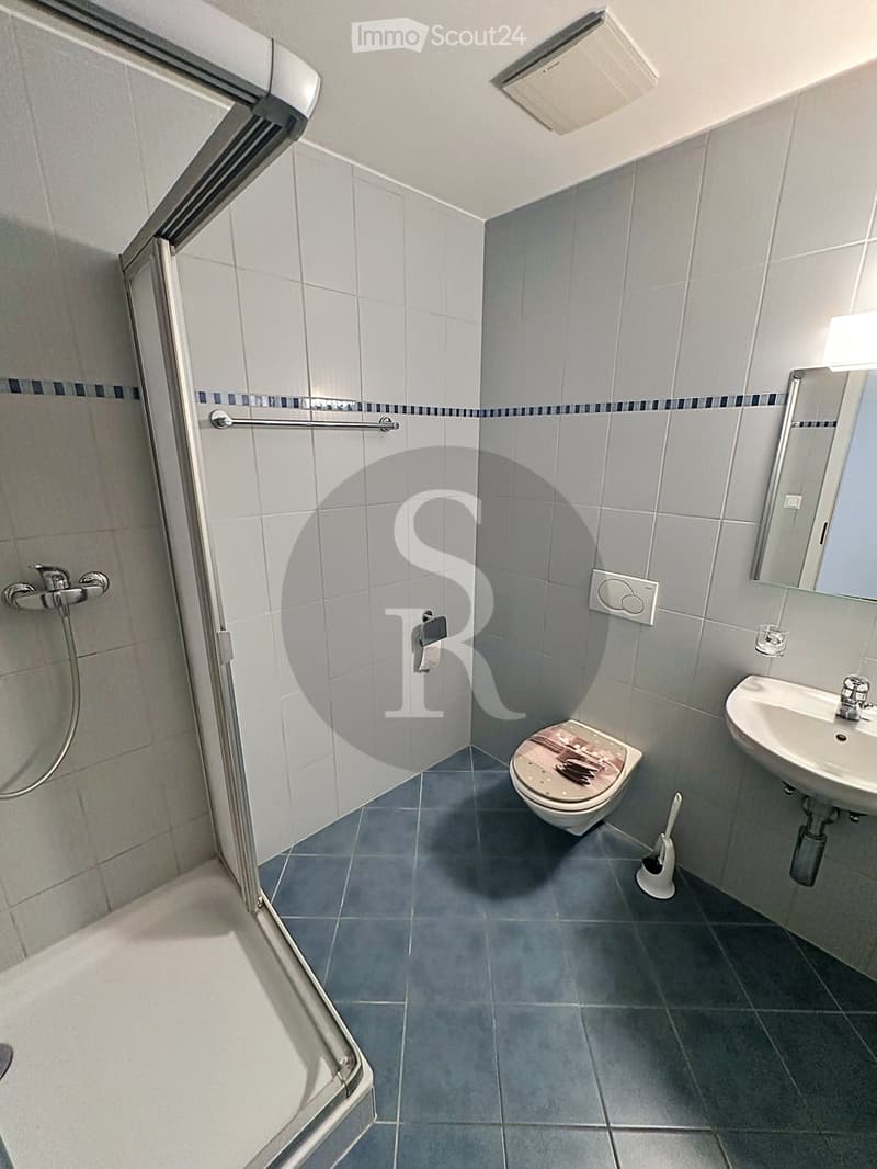 Modern bathroom with grey tiles, a walk-in shower, toilet, sink, and mirror.