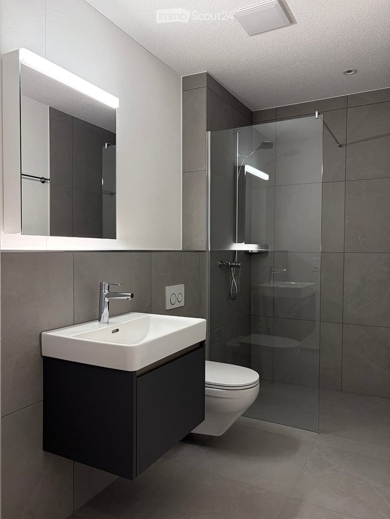 Modern bathroom with a white sink, dark cabinet, mirror with built-in lighting, glass shower enclosure, and a toilet.