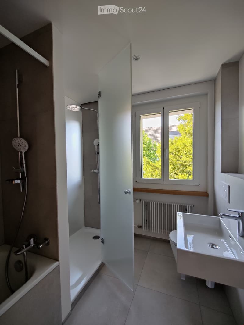 3,5 Zimmerwohnung mit Charme (4)