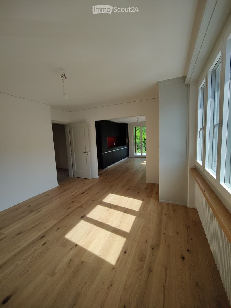 3,5 Zimmerwohnung mit Charme (7)