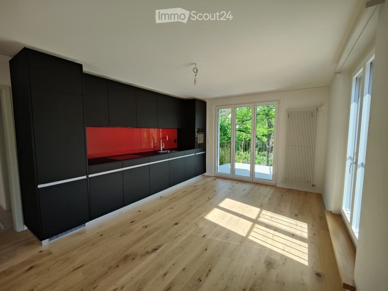 3,5 Zimmerwohnung mit Charme (6)