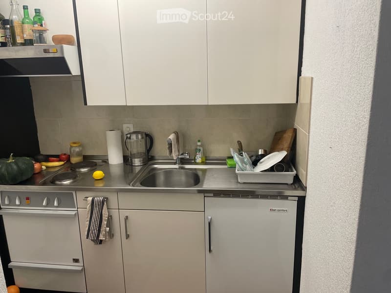 {"type": "Kitchen", "objects": ["oven", "sink", "faucet", "dish rack", "oven mitt", "oven control panel", "oven door", "oven handle", "oven knob", "oven light switch", "oven timer", "oven door handle", "oven door knob", "oven door light switch", "oven doo