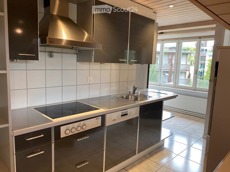 Modern kitchen with stainless steel appliances, induction stove, oven, dishwasher, sink, and cabinets.