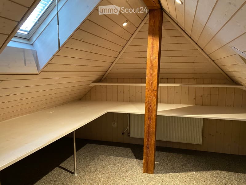 Loft-style room with wooden walls, slanted ceiling, skylight windows, built-in desk, and shelves.