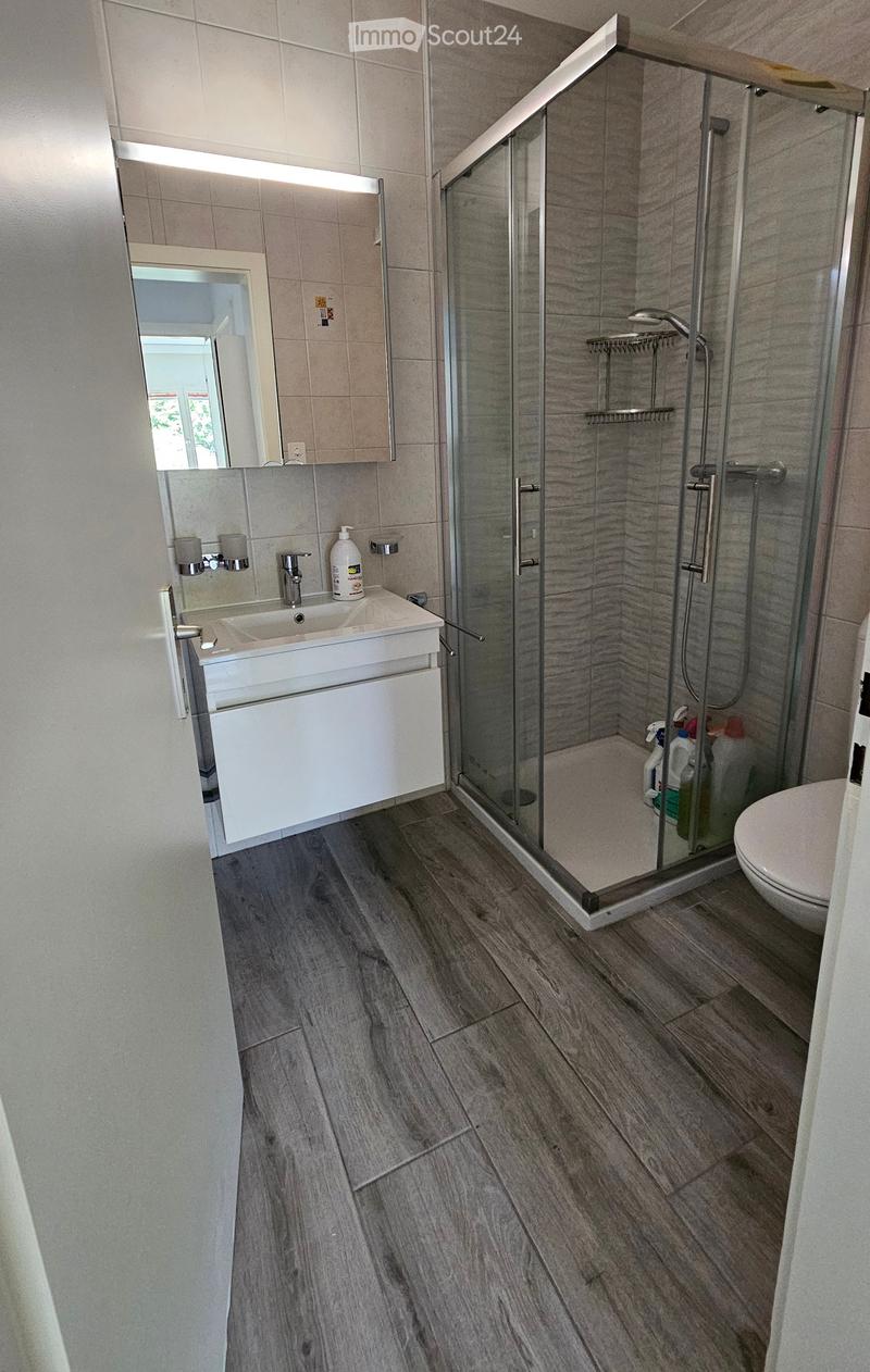 Modern bathroom with a glass-enclosed shower, a white sink with a mirror, and a toilet. The floor is covered with grey wooden tiles.