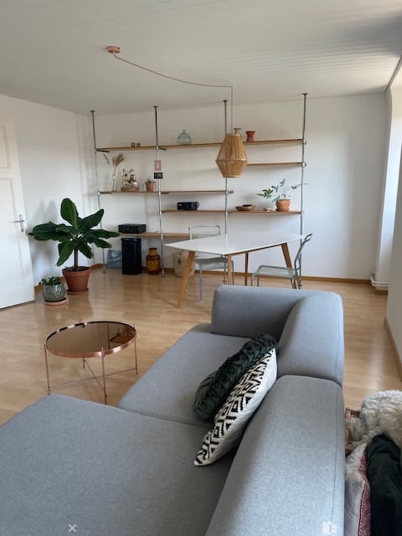 Modern living room with light wooden flooring, grey sectional sofa, coffee table, dining table with chairs, open shelving unit with decorative items, and potted plants.