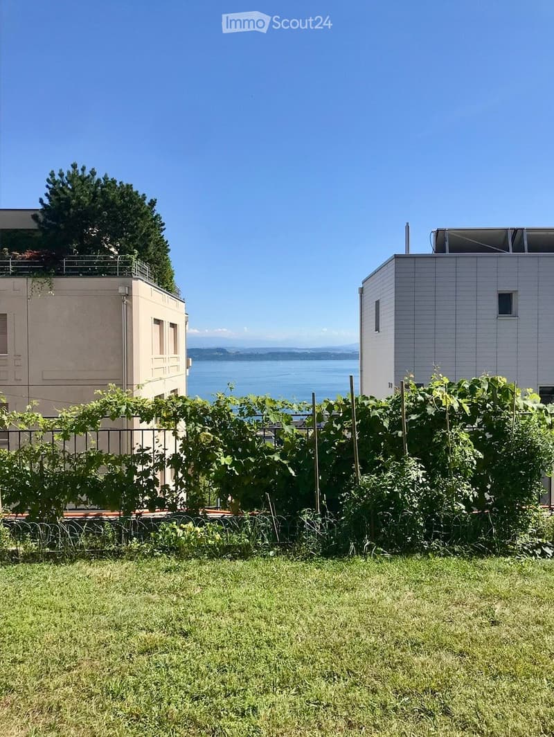 Garden with lush green vines, a well-maintained lawn, and a scenic view of a body of water and distant mountains.