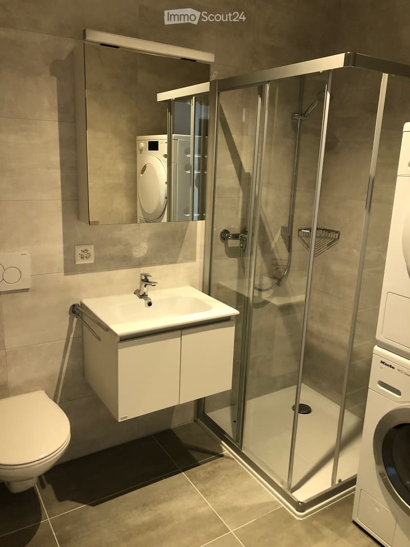 Modern bathroom with a white toilet, sink with a chrome faucet, a glass-enclosed shower, and a washing machine. Features include a mirrored cabinet above the sink and a sleek, contemporary design.