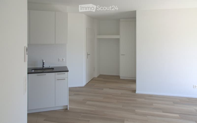 Empty kitchen area with white cabinets, a sink, and wooden flooring. No furniture or appliances are present.