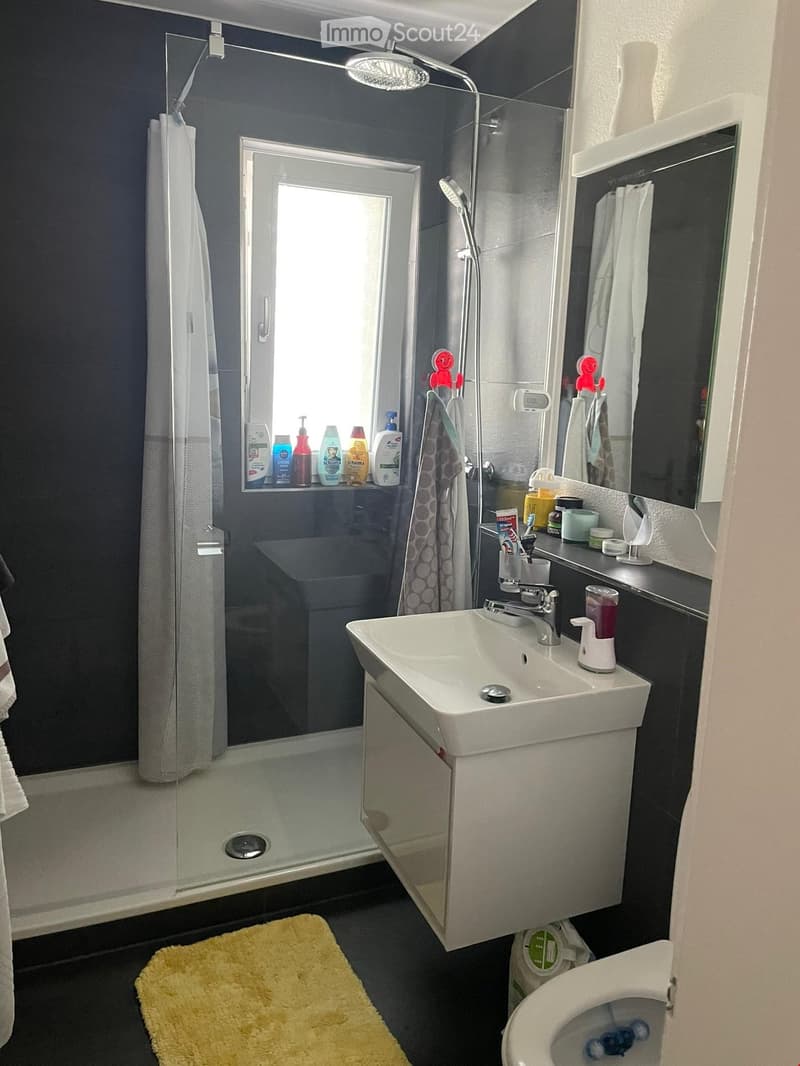 Modern bathroom with dark blue walls, white sink, shower, and toilet. Includes a mirror, towel, and various toiletries on the shelves.