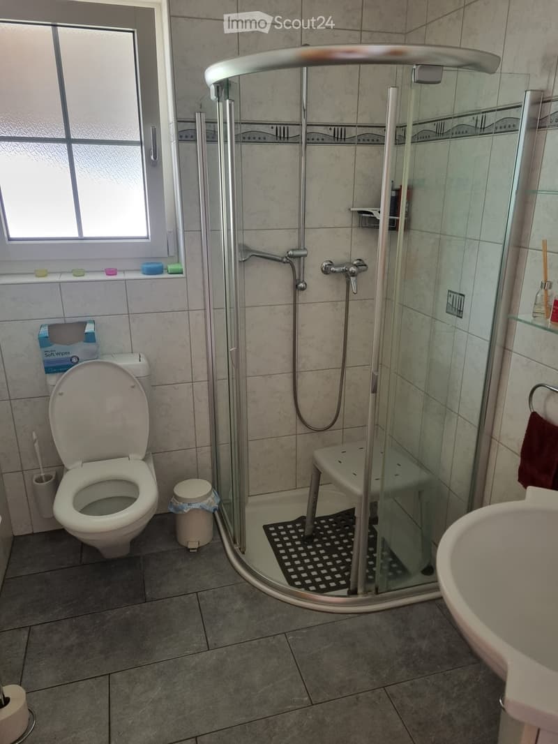 Bathroom with a toilet, sink, and walk-in shower with glass enclosure. Includes a toilet paper holder, trash bin, and towel on a rack.