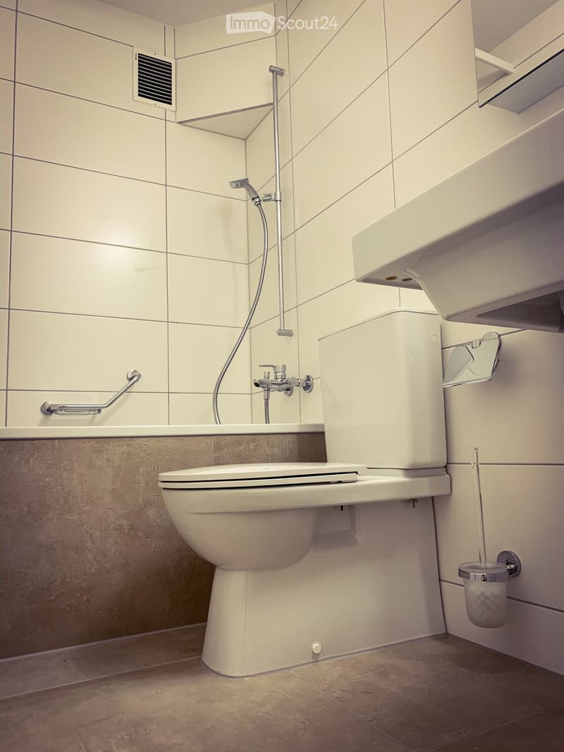 Schöne 1.5 Zimmer Wohnung in Mehrfamilienhaus (7)
