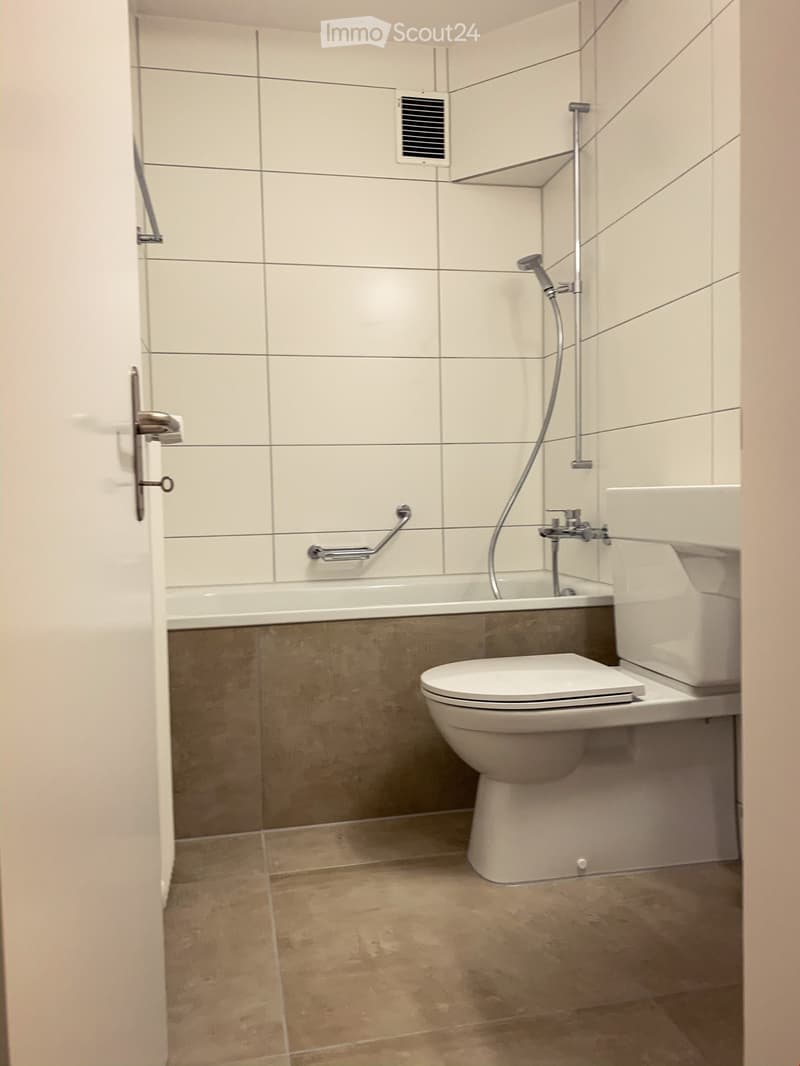 Schöne 1.5 Zimmer Wohnung in Mehrfamilienhaus (6)