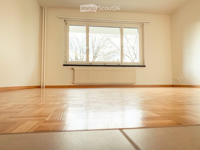 Schöne 1.5 Zimmer Wohnung in Mehrfamilienhaus (1)