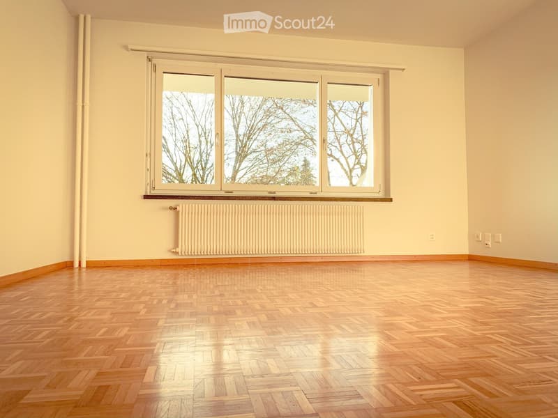 Schöne 1.5 Zimmer Wohnung in Mehrfamilienhaus (2)