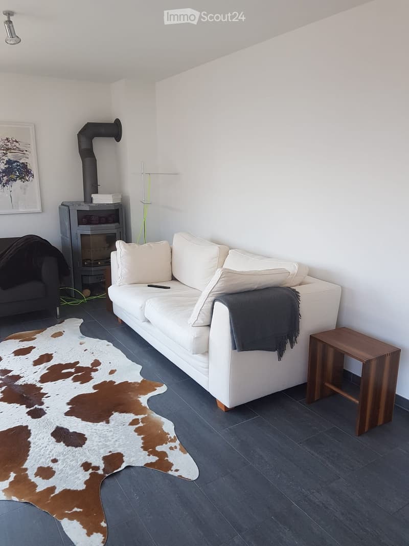 Modern living room with a white sofa, a cowhide rug, a wooden stool, and a fireplace with a black chimney pipe.