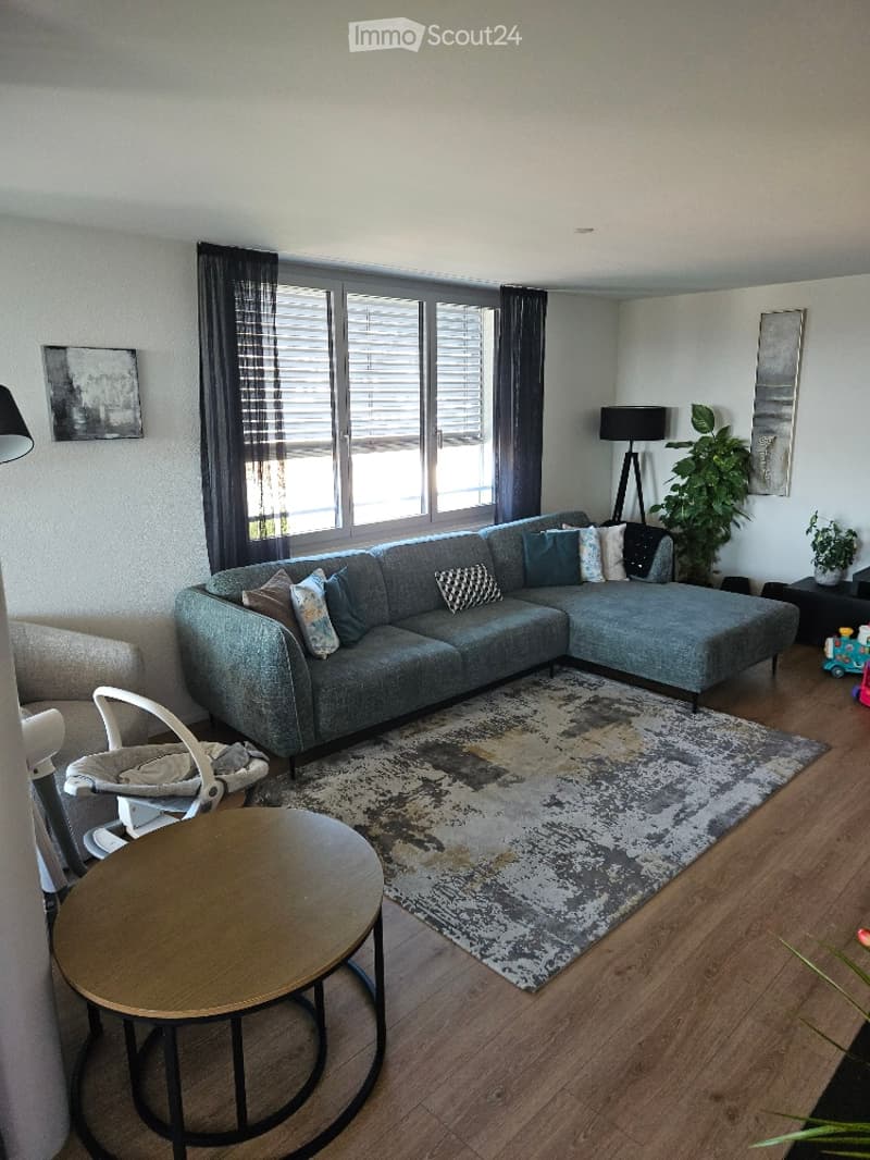 Modern living room with a grey sectional sofa, coffee table, baby chair, floor lamp, and decorative plants.