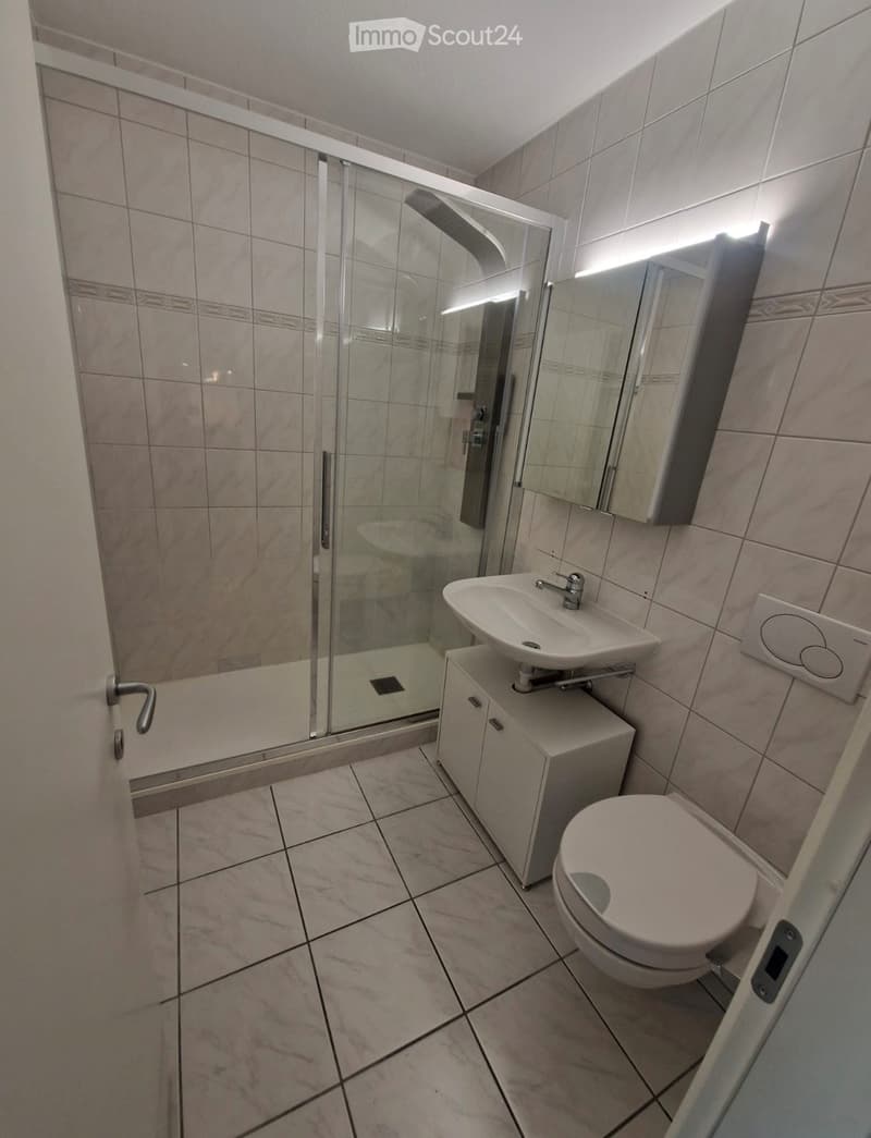 Modern bathroom with tiled walls and floor, featuring a toilet, sink with mirror, and a glass-enclosed shower stall.