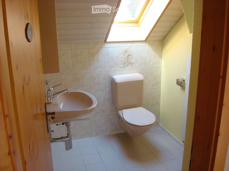 small bathroom with toilet, sink, and shower ceiling