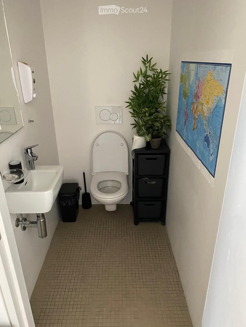 Compact bathroom with a toilet, sink, mirror, small cabinet, potted plant, and a world map picture on the wall.