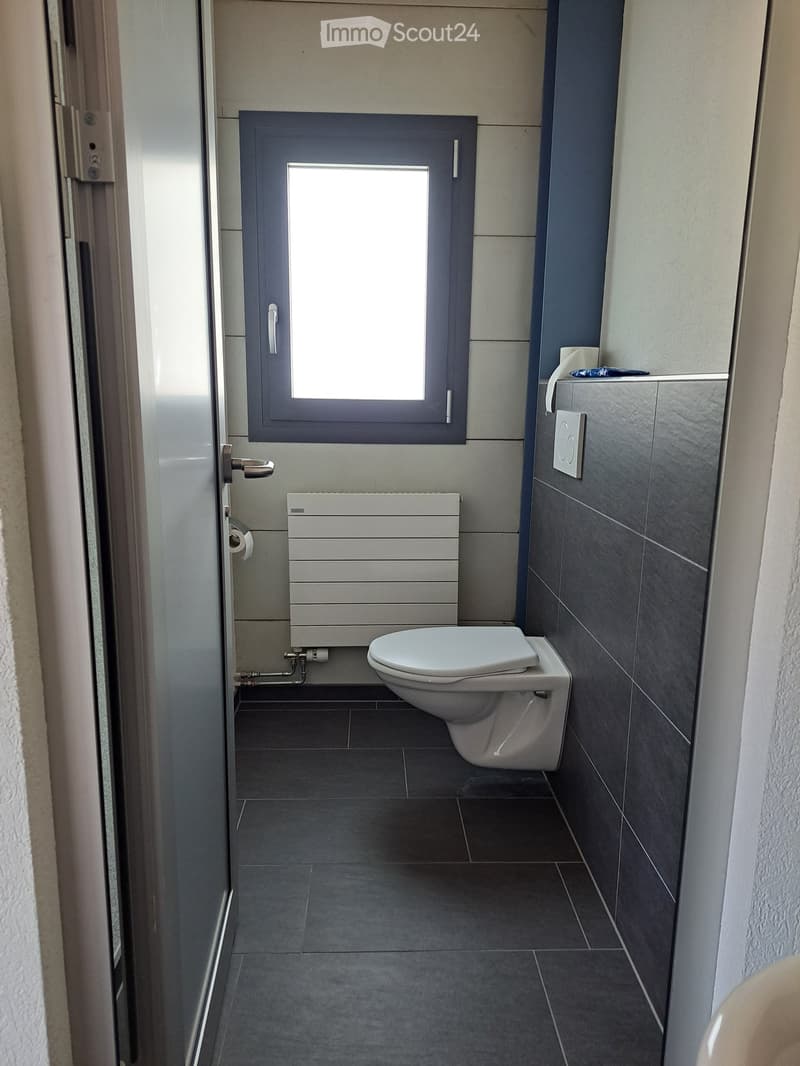 Modern bathroom with dark tiled floor, grey walls, toilet, radiator, and a window above the toilet.