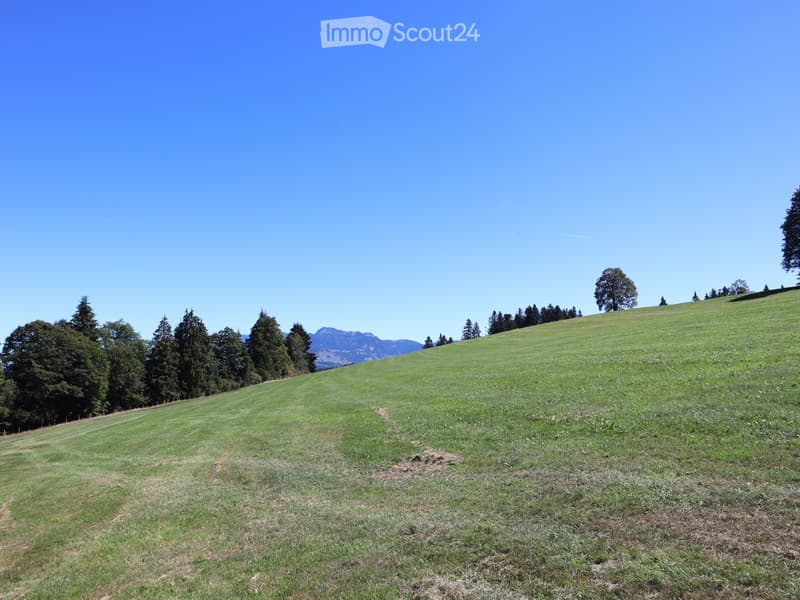 A wide, grassy field with scattered trees and distant mountains under a clear blue sky.