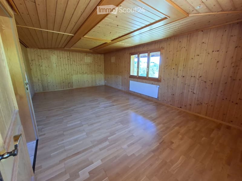 Empty room with wooden walls, wooden floor, and a window with a radiator below it. The ceiling has wooden beams and a skylight.