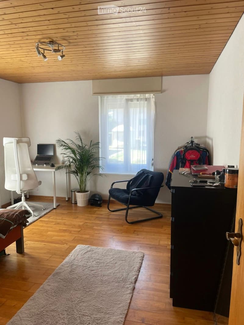 A cozy, well-lit room with wooden flooring, a large window, a desk with a laptop, a comfortable chair, a potted plant, and a small rug.