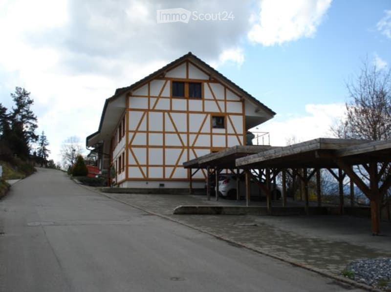 Fassade Carports