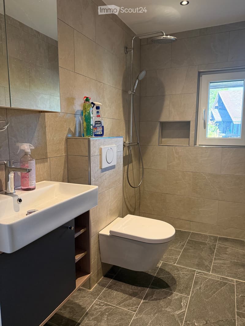 Modern bathroom with beige tiles, a white sink, a toilet, a shower, and a mirror. Cleaning supplies are placed on a shelf next to the sink.