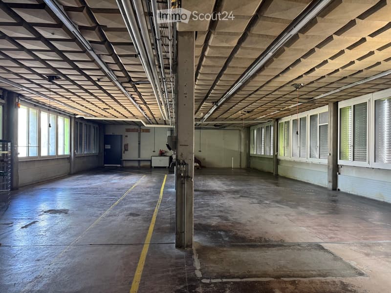 Empty industrial-style space with concrete floors, large windows, exposed pipes, and minimal furnishings.