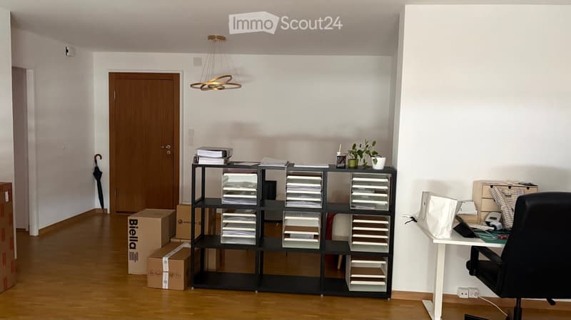 Office space with a wooden floor, white walls, a hanging light fixture, a black shelving unit filled with papers and files, a desk with a laptop, a chair, and a small plant on the shelf.