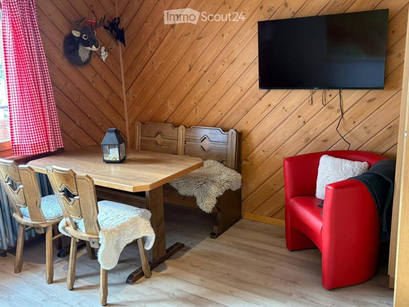 wooden walls, wooden table, wooden chairs, red chair, TV, deer head, fur pillow