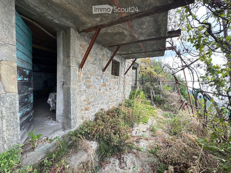 Stone building with a raised ground floor, partially overgrown with vegetation, featuring a concrete overhang and a weathered wooden door.