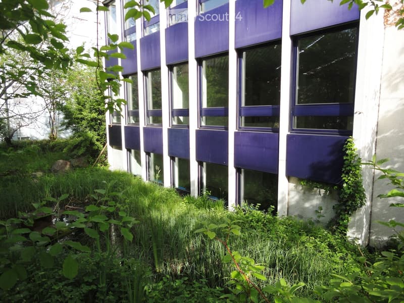 The building is white and blue with a large window, the exterior wall is covered with plants.