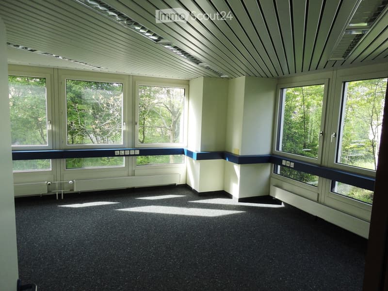 empty room, windows, carpet, white walls, white and blue sill, no furniture