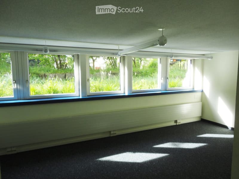 an empty room with a white ceiling, windows, and black carpet flooring