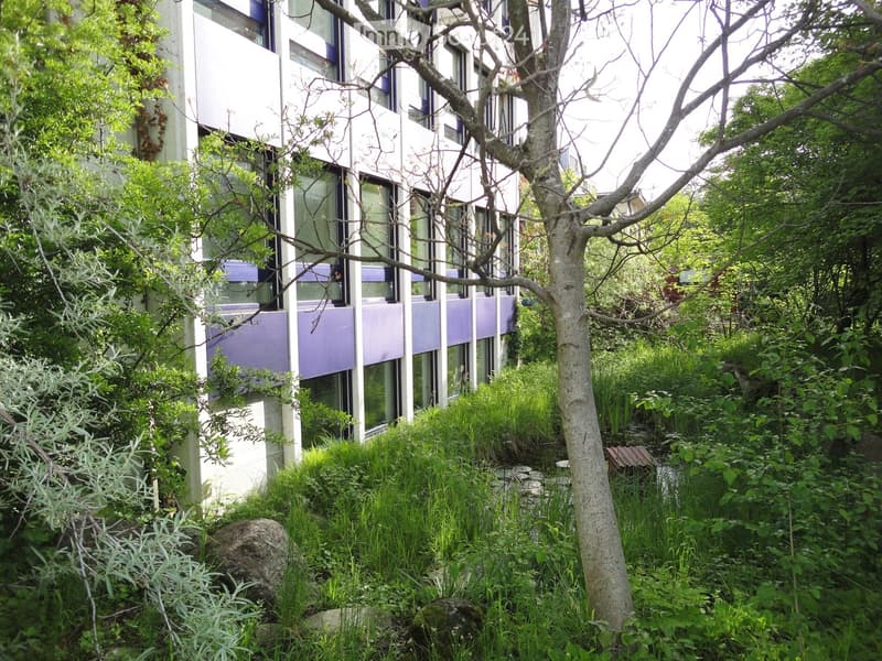 Multi-story building with white walls and purple stripes, numerous windows, situated in a lush green environment with a small stream.