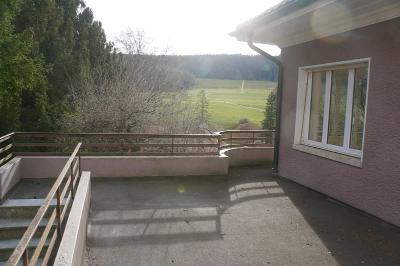 Sonnige, renovierte 6.5-Zimmerwohnung mit 2 Terrassen und Blick in grossen Garten (2)