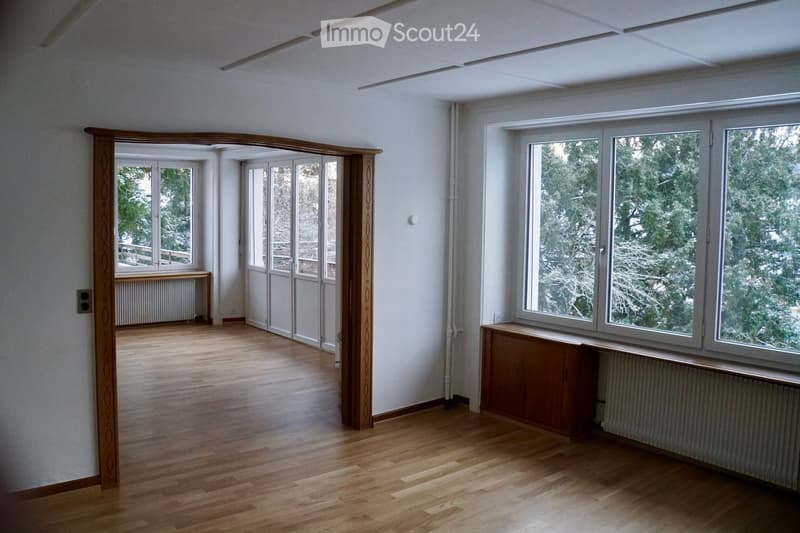 Sonnige, renovierte 6.5-Zimmerwohnung mit 2 Terrassen und Blick in grossen Garten (1)