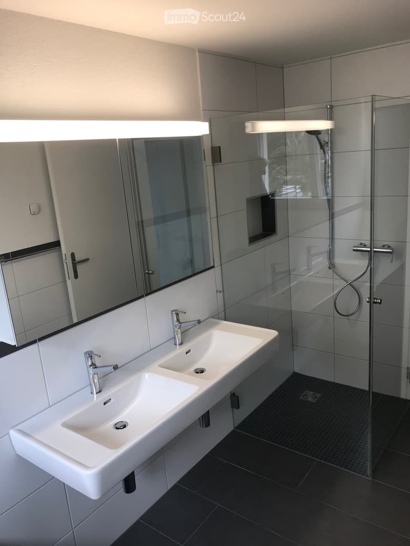 Modern bathroom with a double sink, sleek chrome faucets, a large mirror, and a glass-enclosed shower area.
