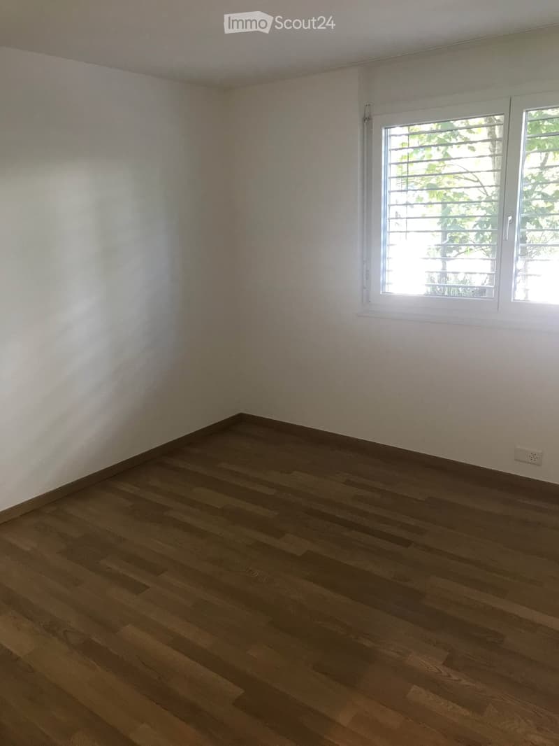 Zîmmer 1
