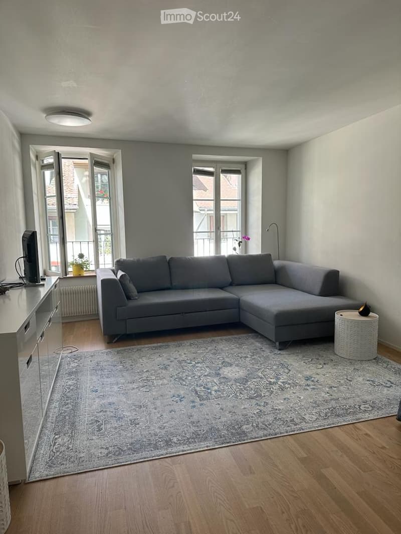 Modern living room with grey sectional sofa, coffee table, TV, side table, floor lamp, and large area rug on wooden floor.