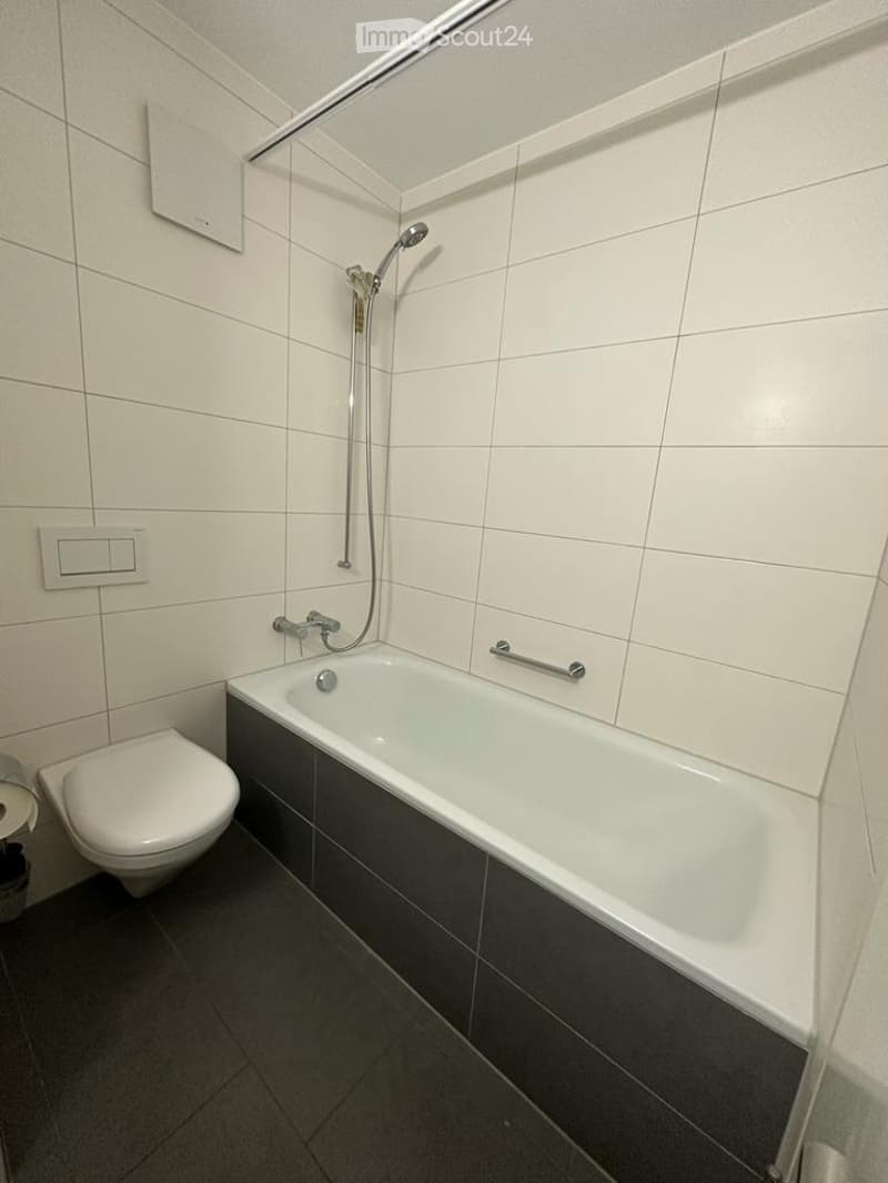 Modern bathroom with white tiles, a bathtub, toilet, and a showerhead with a handheld sprayer. Features include a grab bar next to the bathtub and a sleek, contemporary design.
