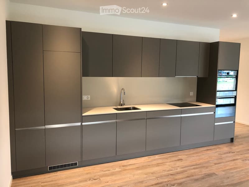 Modern kitchen with grey cabinets, a stainless steel sink, and a refrigerator with a glass door.